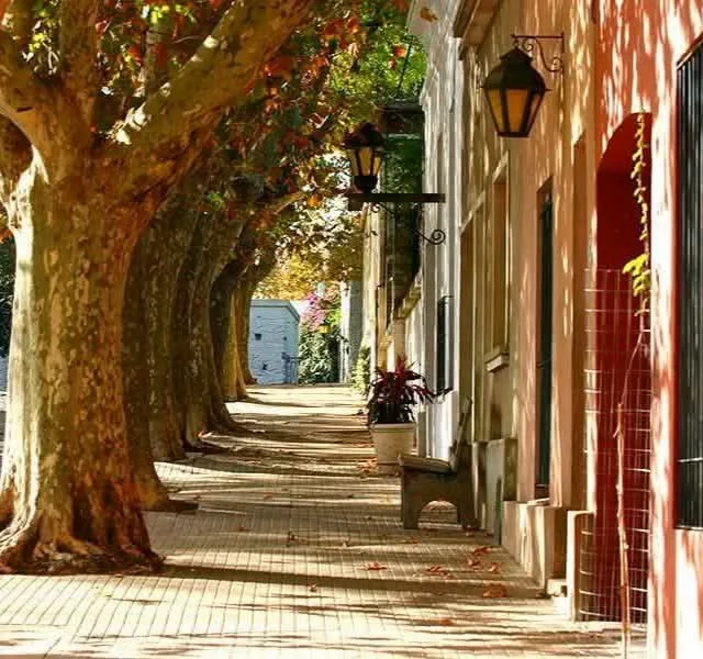 Calle arbolada de Colonia del Sacramento