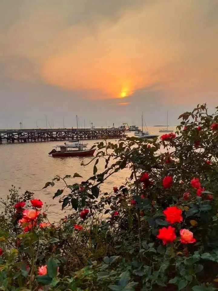 Atardecer en el puerto de Colonia